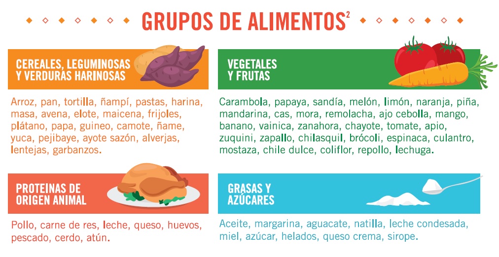 grupos de alimentos.jpg